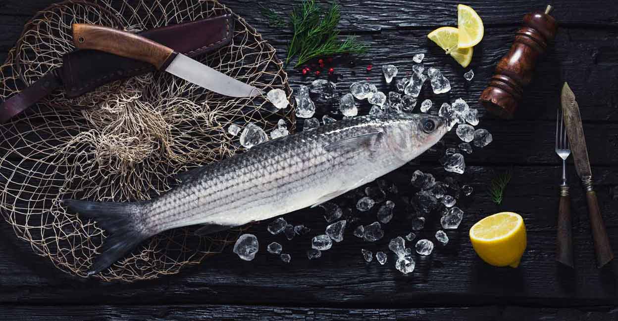 Thirutha or grey mullet fish Photo: nioloxs/ Shutterstock