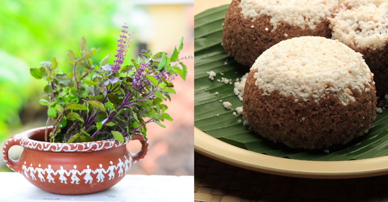 Kerala special herbal tulsi puttu is a must try recipe