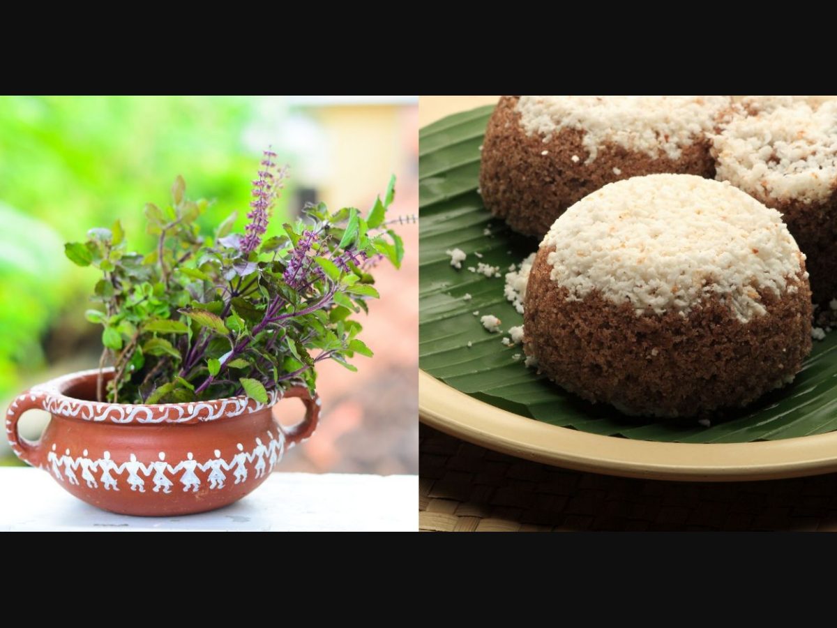 Kerala special herbal tulsi puttu is a must try recipe