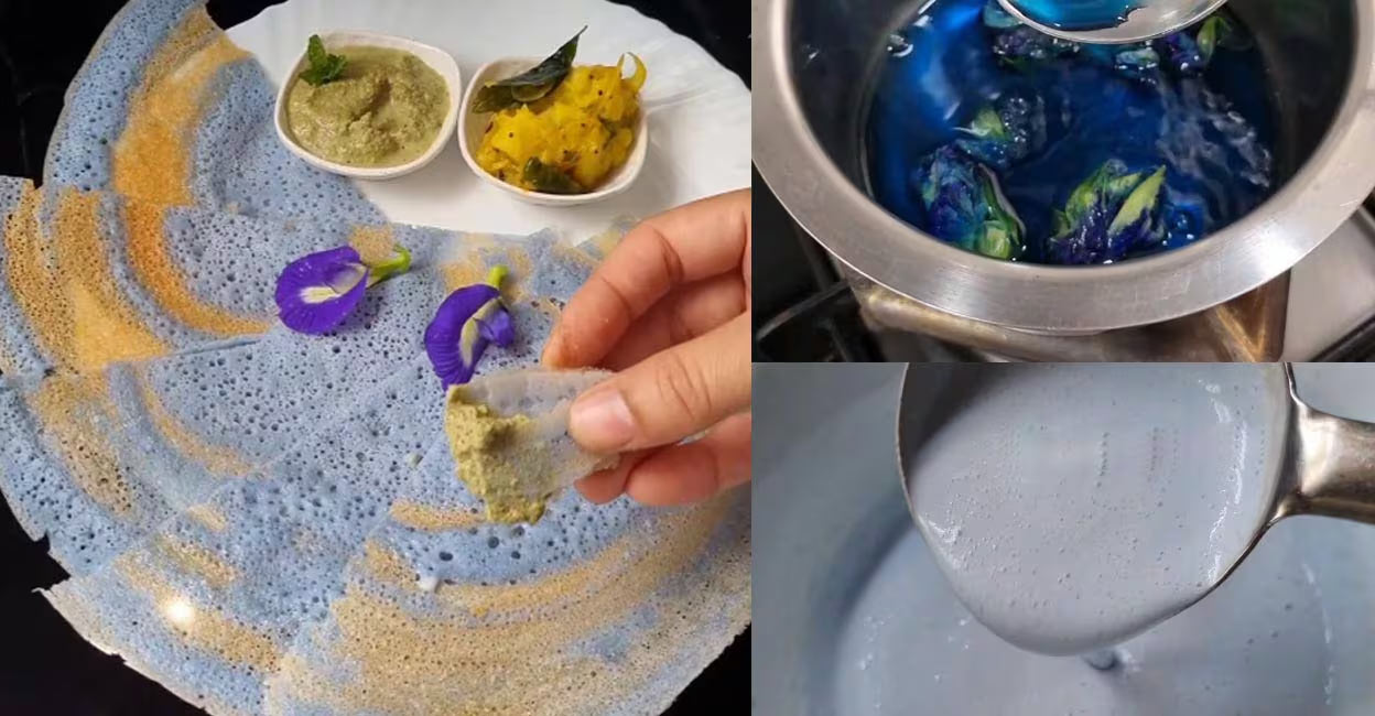 blue-dosa Blue dosa (left). Herbal tea made of butterfly pea. (right). Photo: Instagram/@jyotiz_kitchen