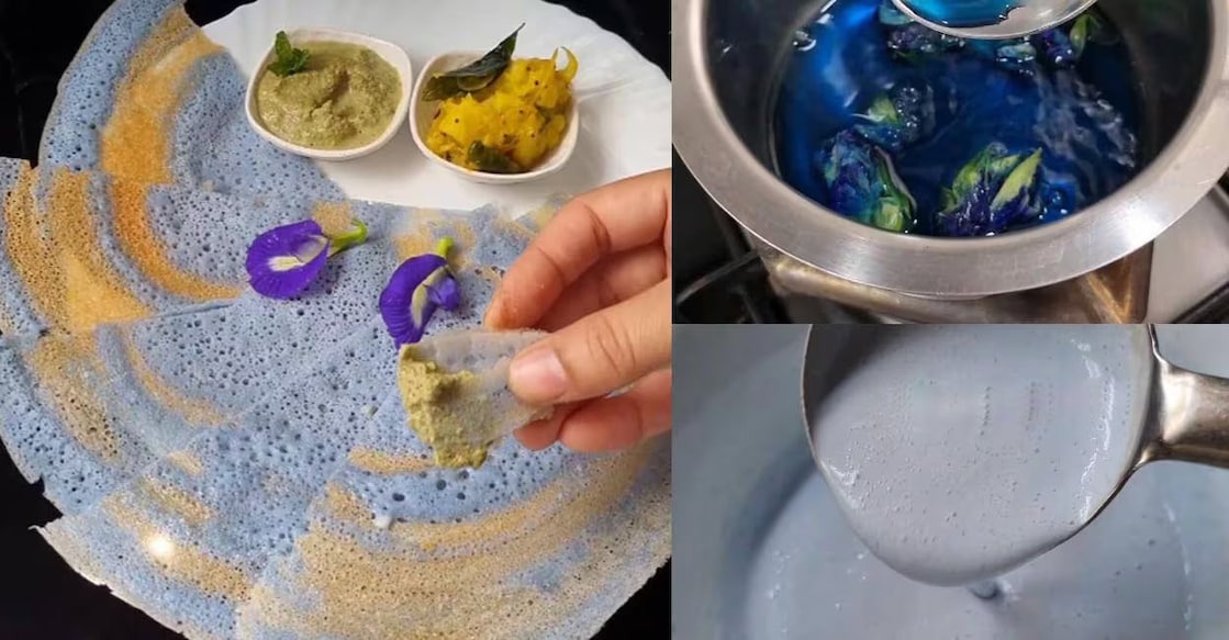 Blue dosa (left). Herbal tea made of butterfly pea. (right). Photo: Instagram/@jyotiz_kitchen