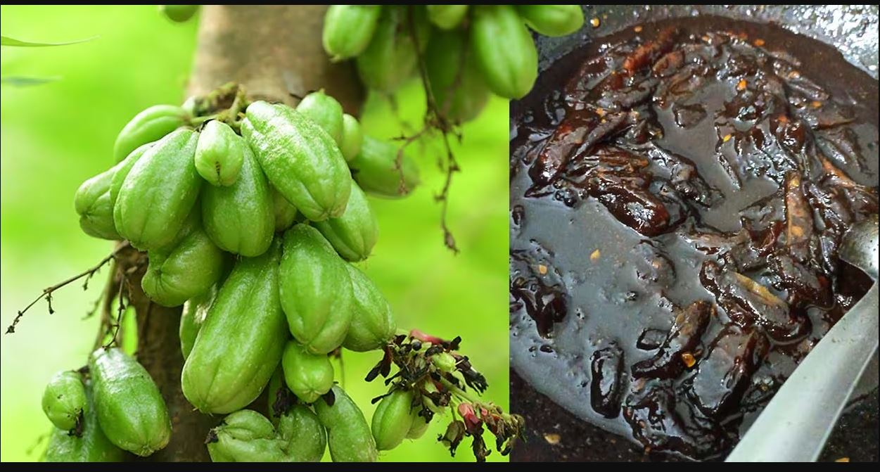 Bilimbi is rich in vitamins A and C, oxalic acid, calcium, iron and more. Photo: Mary George