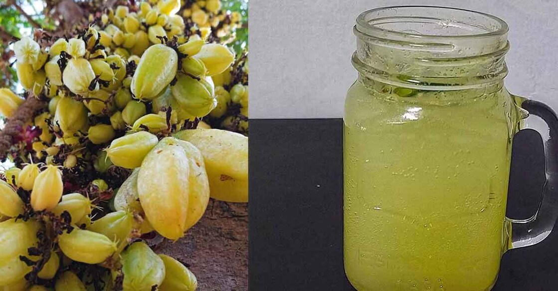 Bilimbi mojito can be a refreshing addition to your list of favourite summer coolers. Photo: Prabha/iStock/Cibin Kuriakose