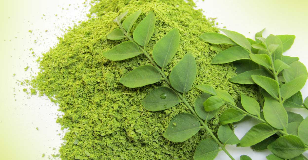 Curry leaves powder tastes great with rice and other curries too. Photo: iStock/Sadasiba Behera
