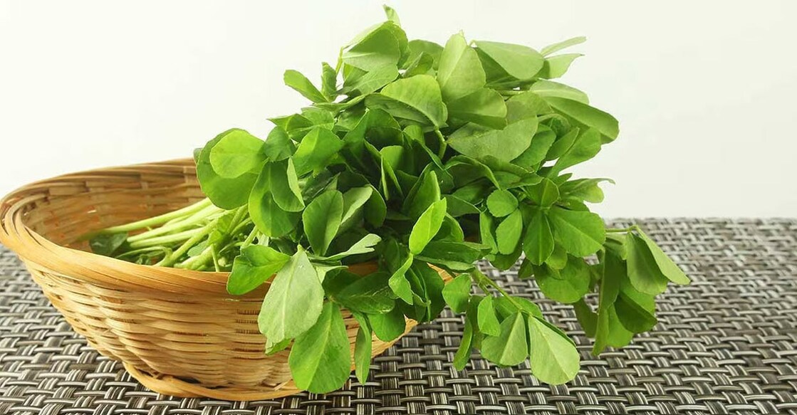If taken in the right way, methi can also help control the blood sugar level.  Photo: Shutterstock/Gv Image- 1