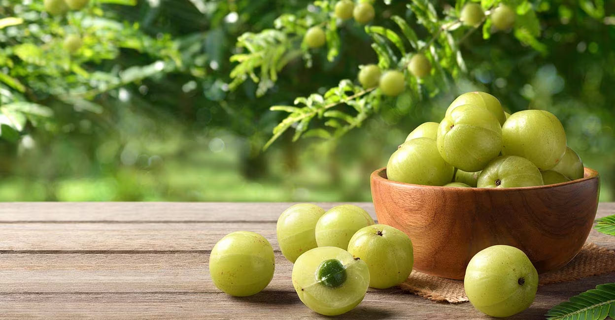 nellikka-rasam The antioxidants and fiber in gooseberries also contribute to heart health by reducing the risk of cardiovascular diseases and maintaining healthy cholesterol levels. Photo: Shutterstock/Photoongraphy
