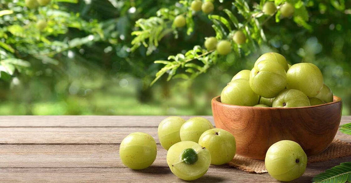  The antioxidants and fiber in gooseberries also contribute to heart health by reducing the risk of cardiovascular diseases and maintaining healthy cholesterol levels. Photo: Shutterstock/Photoongraphy