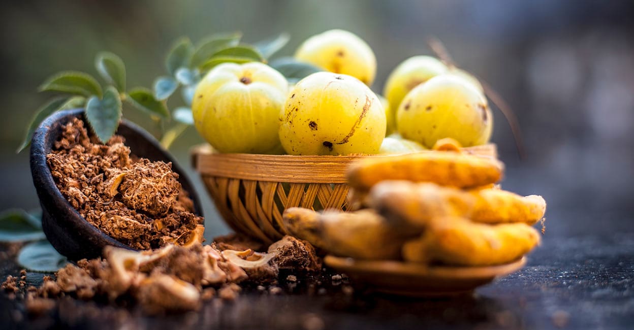 Indian gooseberry or amla with turmeric Indian gooseberry or amla with turmeric. Photo: Shutterstock/mirzamlk