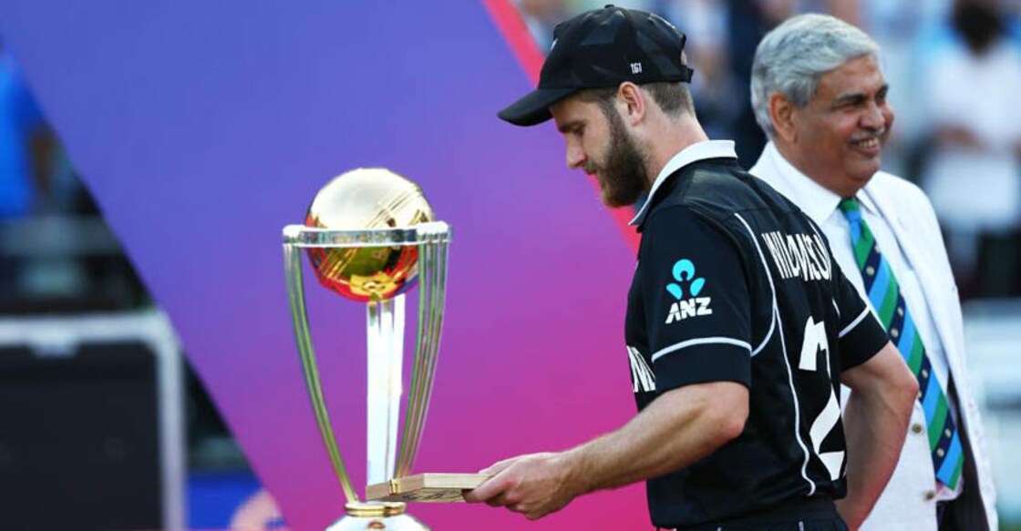 It was a shame that the ball hit Stokes' bat: Williamson