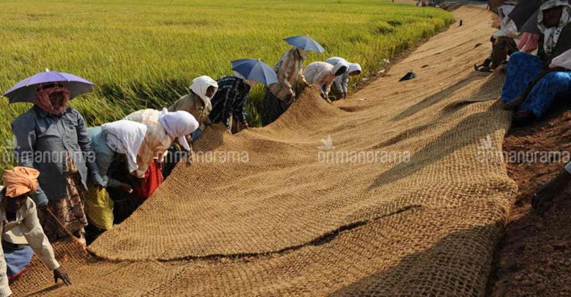 Coir mats secure banks of water channels