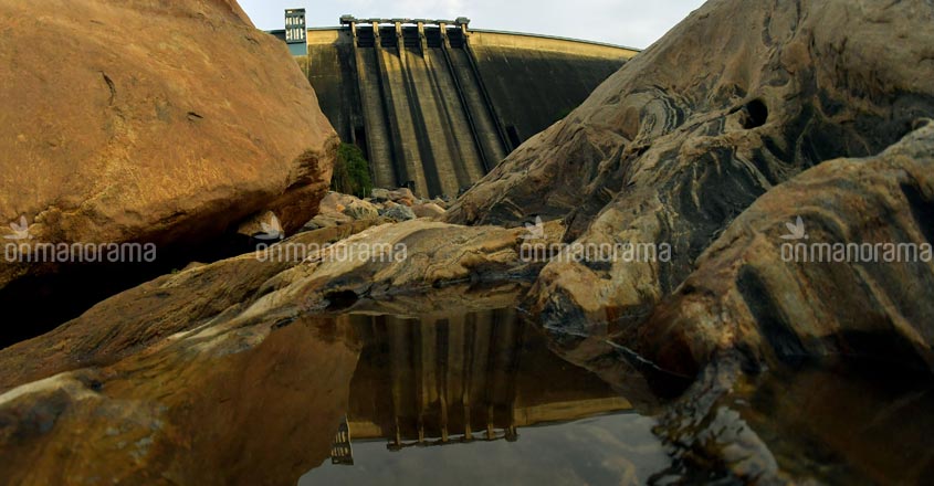 Gadgil, Kasturi who? Idukki farmers struggle to keep will to live