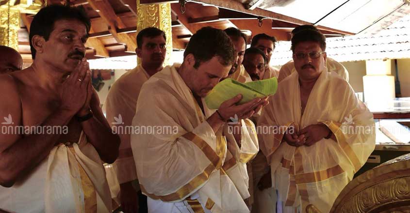 RaGa's Wayanad is gradually getting into terms with celeb status