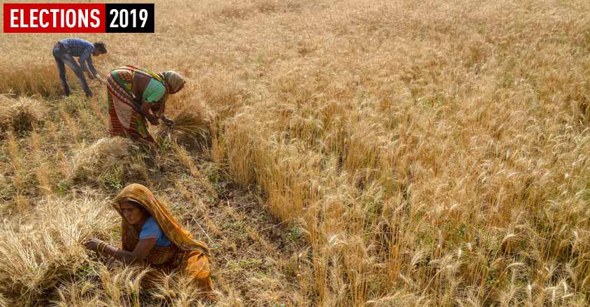 In Damoh LS seat, farmers' distress is a key poll issue