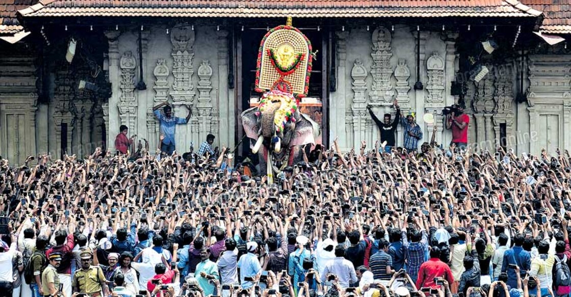 Kerala govt bans famed tusker in temple festivals