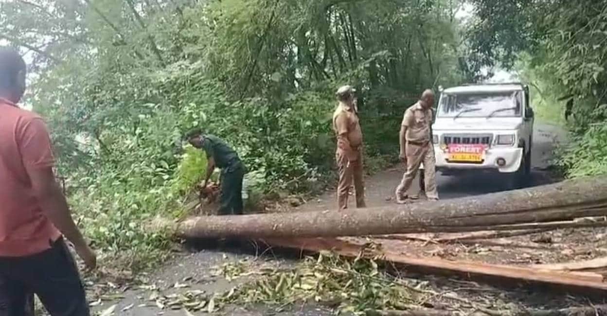 forest-officials-kabali forest-officials-kabali