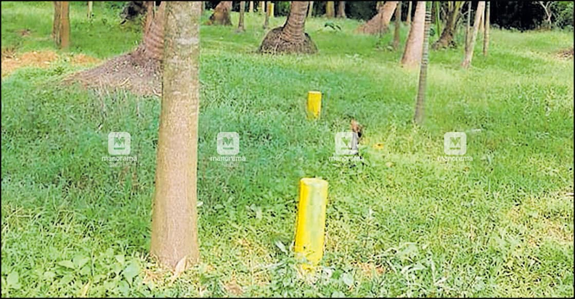 Boundary stones laid for SilverLine Project in Thrissur. File Photo