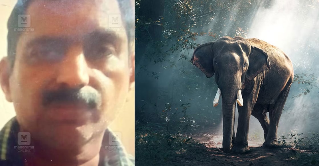 paul-wayanad-elephant-attack-ls paul-wayanad-elephant-attack-ls