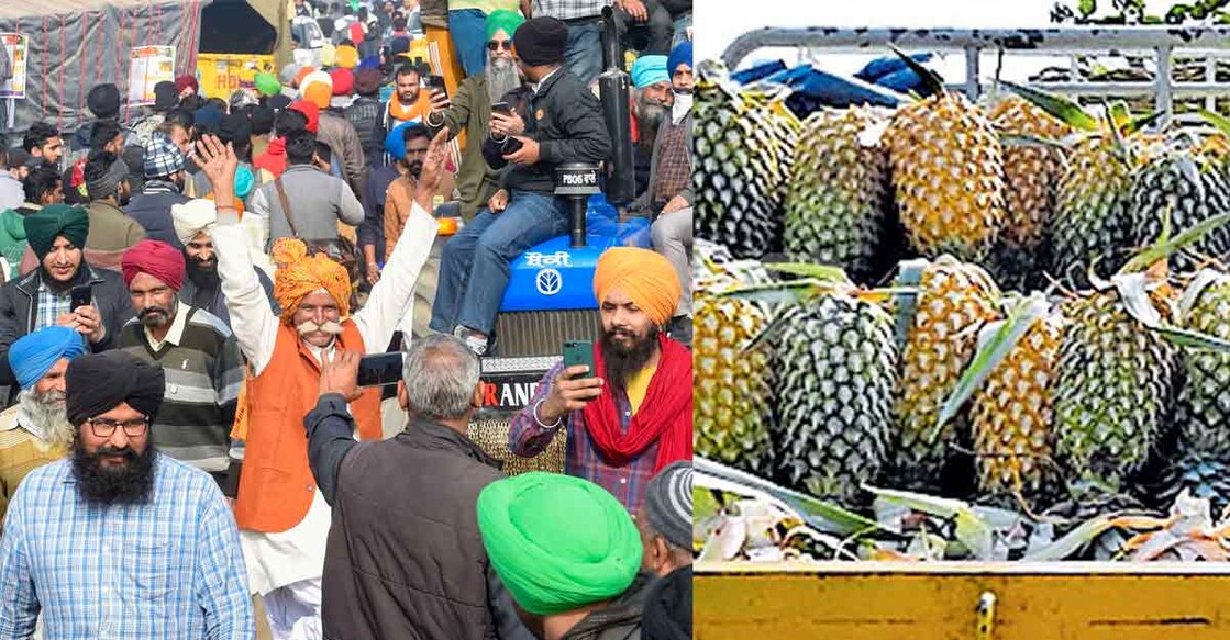 Vazhakkulam farmers send truckload of pineapples to Delhi protestors