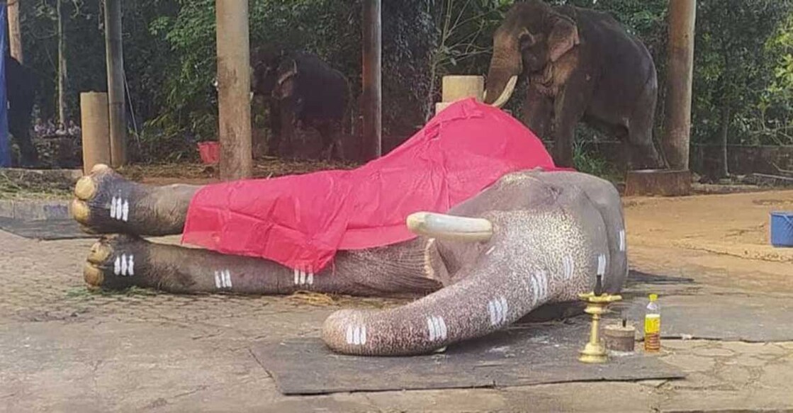 Thousands of people paid their last respects to Karnan when the tusker’s body was kept at Mangalamkunnu before the funeral.