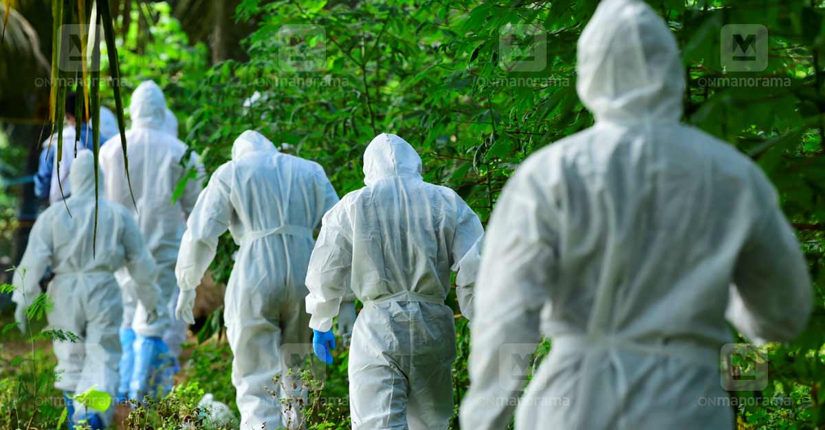 Bird flu confirmed in 6 states; unusual mortality of 16 birds in Delhi as well