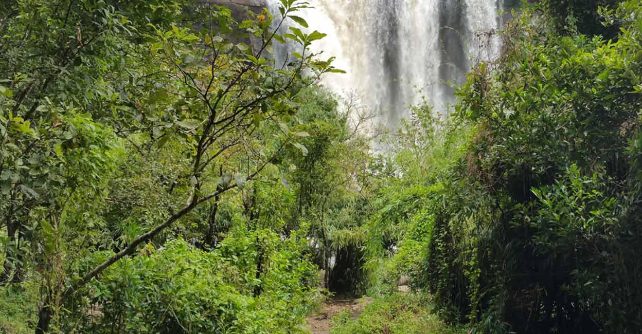 athirapally-2 athirapally-2