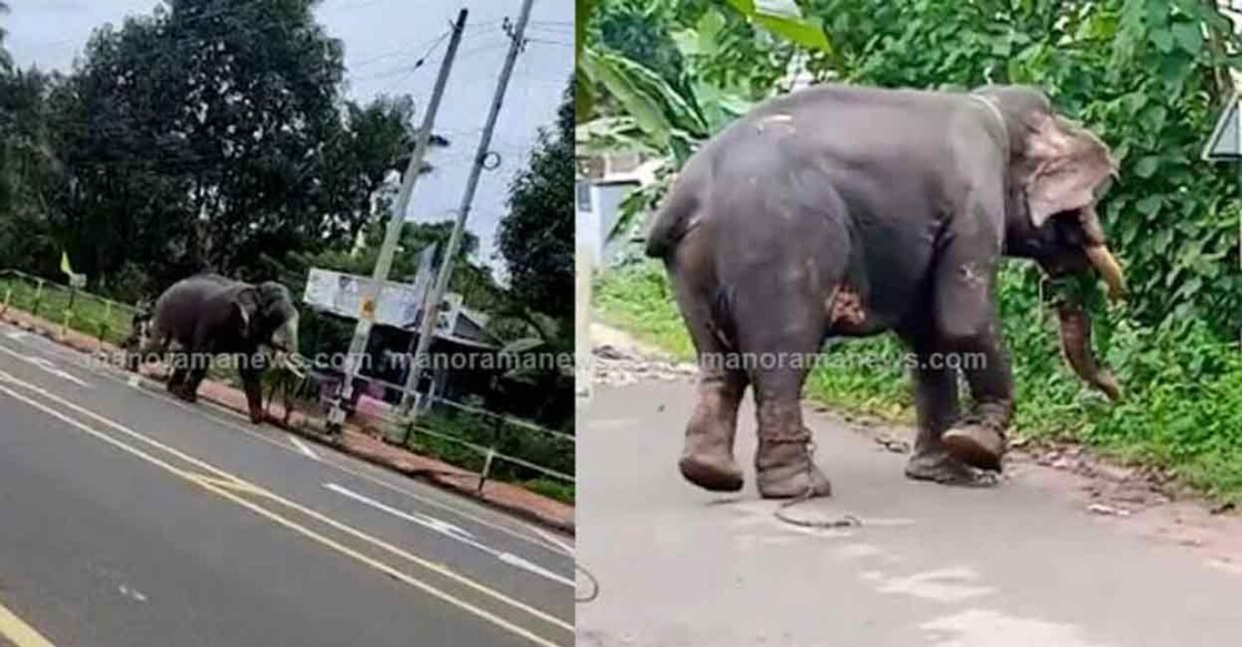 Nedumankavu Manikandan caused traffic block on the MC Road. 