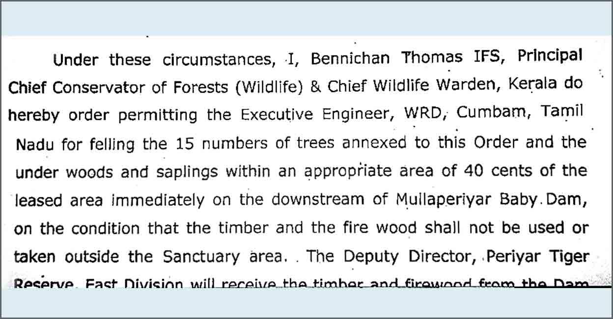 baby-dam-tree-cutting-letter-2 baby-dam-tree-cutting-letter-2