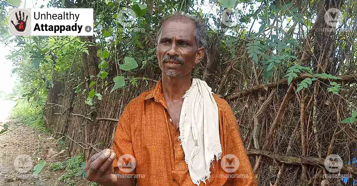 Mismanagement is 'cultivated' in Vattulukki coop society of Attappady Nanchan Chathan, the head of the tribes settled in the Vattulukky farm. Photo: Onmanorama