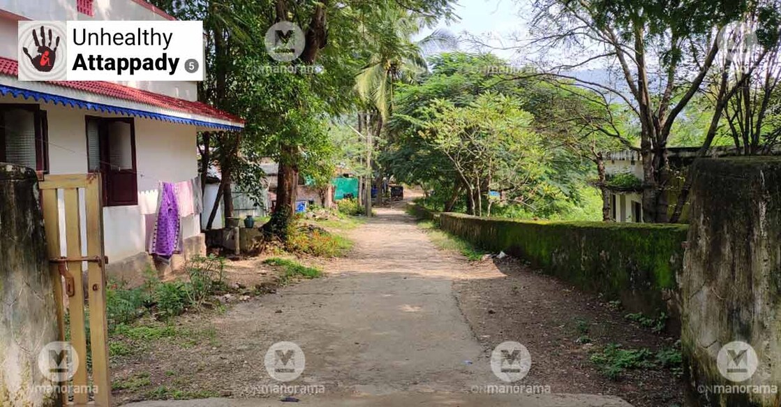 Dasannoor is one among the 192 tribal hamlets of Attappady. Photo: Onmanorama