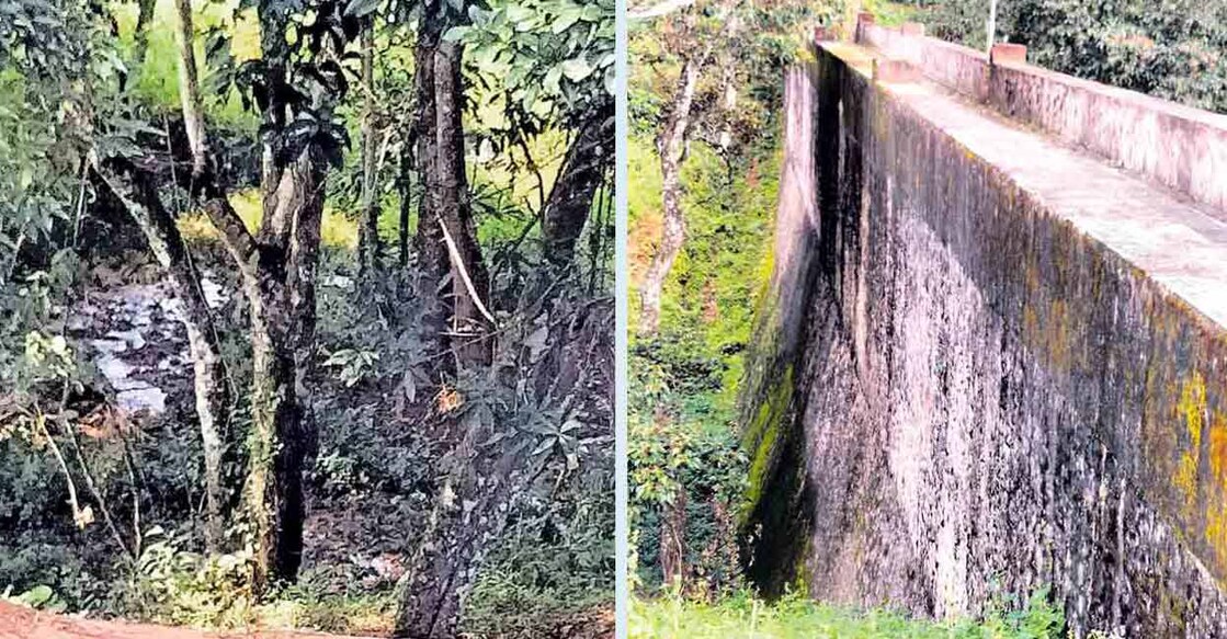 (L) Water flow through the ground level near the baby dam. (R) The baby ddam.
