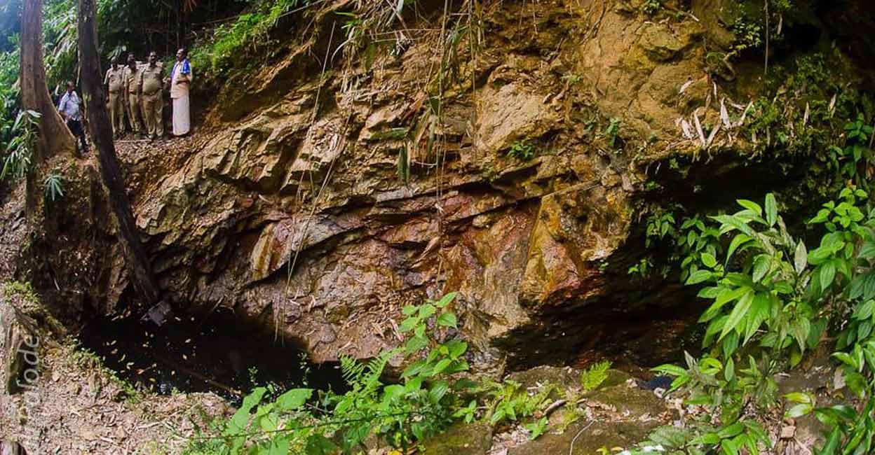 palode-forest-mining-3 palode-forest-mining-3