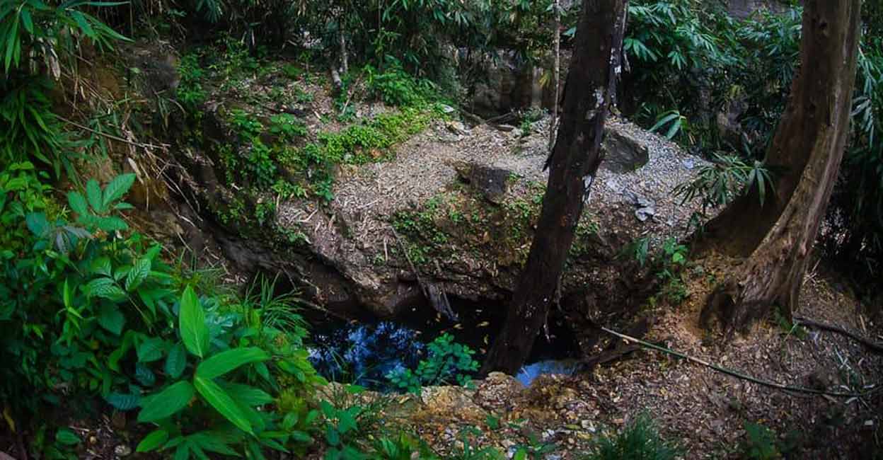 palode-forest-mining-4 palode-forest-mining-4