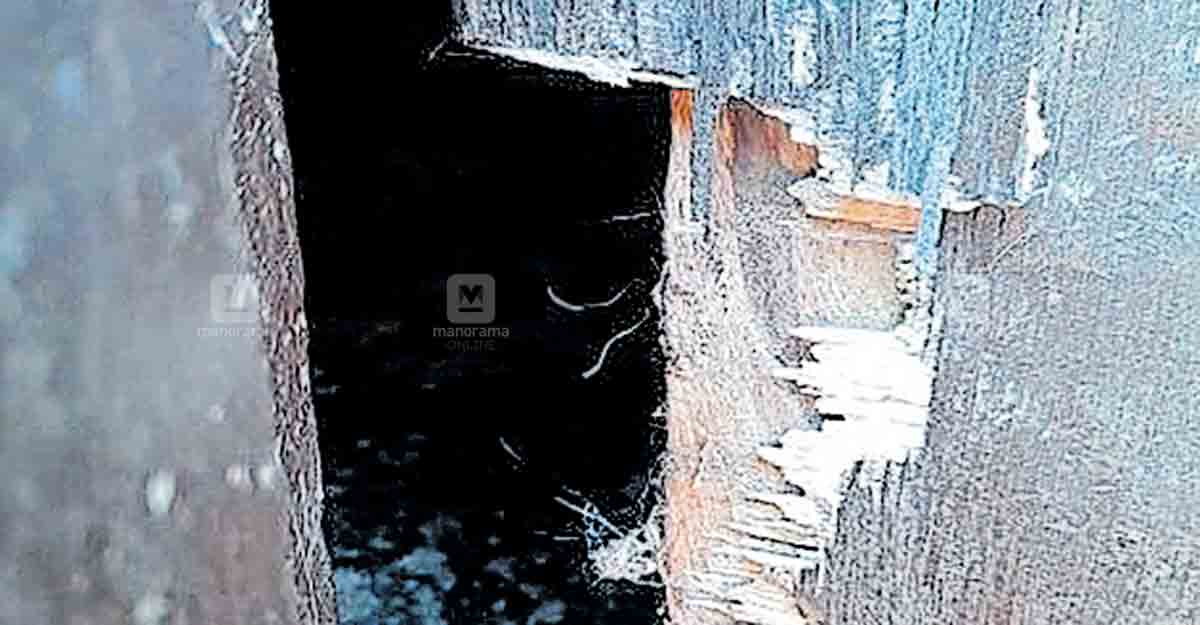 When tiger came calling at this house in Wayanad