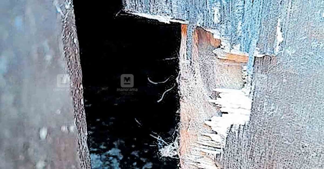 When tiger came calling at this house in Wayanad When tiger came calling at this house in Wayanad
