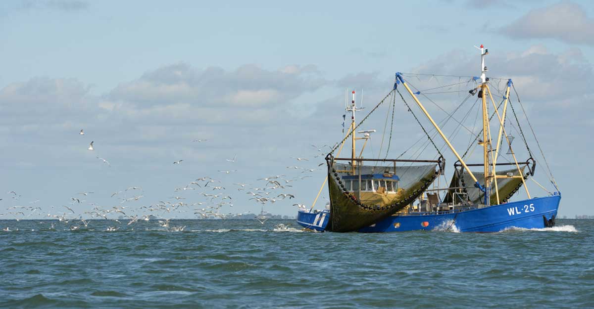 Fish trawler Representational image: Hannah van Herk/Shutterstock