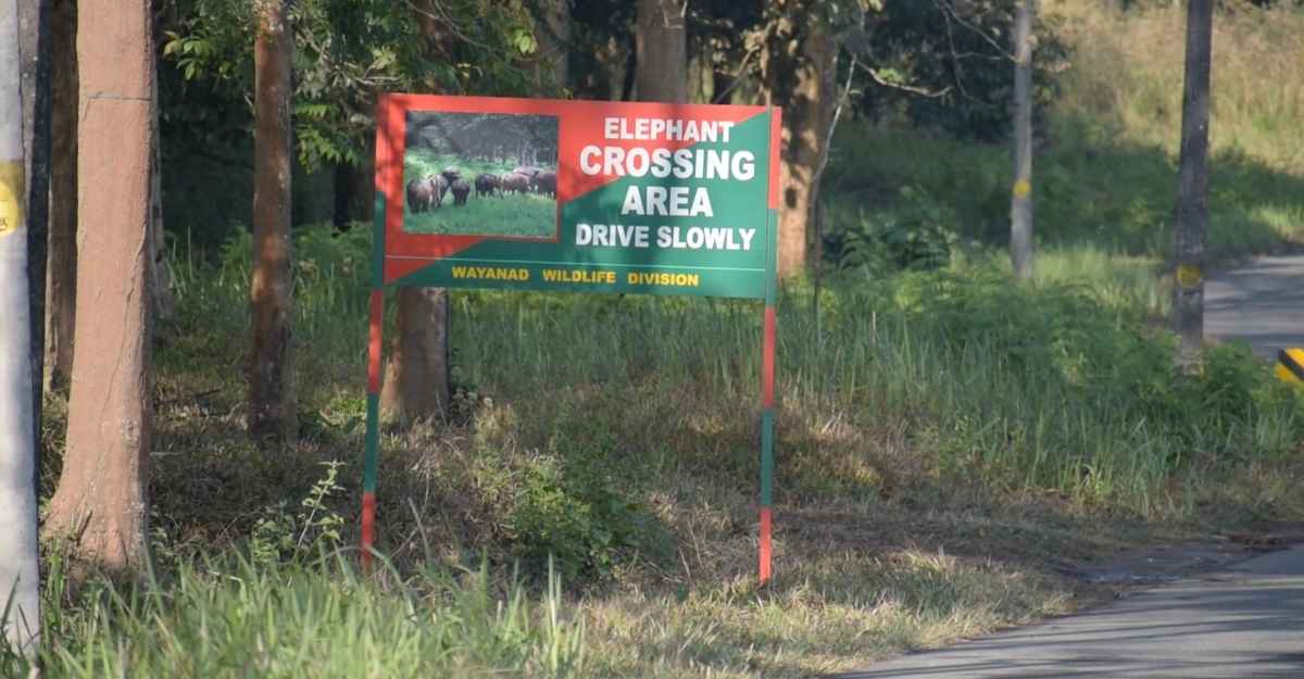 A signboard that warns motorists about elephant crossing in Wayanad Wildlife Sanctuary. A signboard that warns motorists about elephant crossing in Wayanad Wildlife Sanctuary.