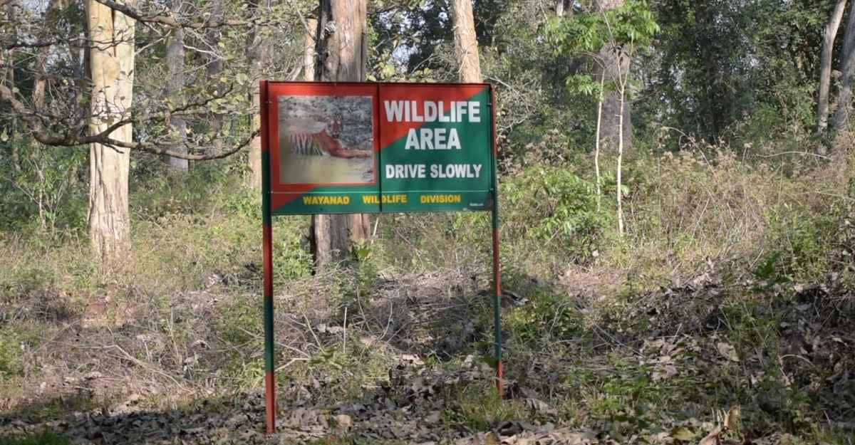 Tiger crossing signboard inside Wayanad Wildlife Sanctuary. Tiger crossing signboard inside Wayanad Wildlife Sanctuary.