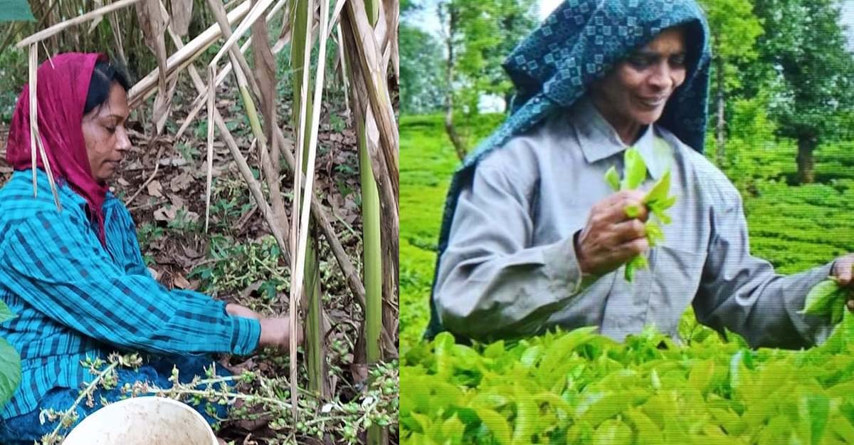 Kerala Poll Special: Why Pombilai Orumai is missing from action