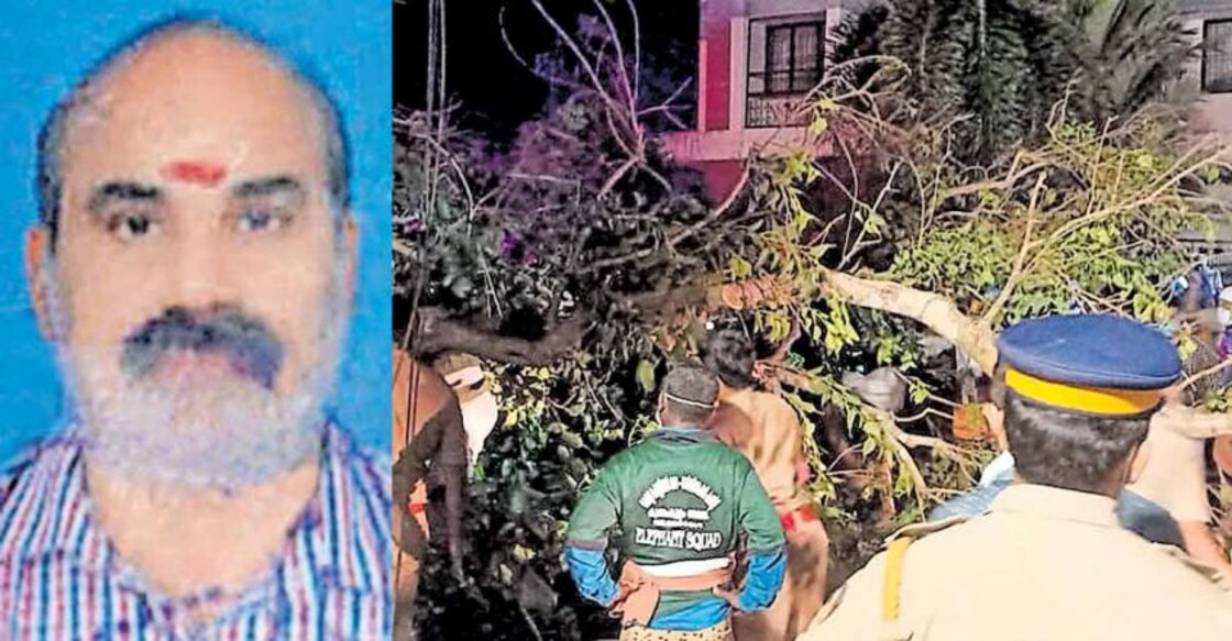 Thrissur Pooram: Two killed, 27 injured by falling tree branch during panchavadyam