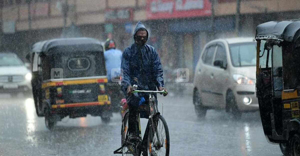 Southwest monsoon likely to advance into Andaman Sea on May 21: IMD