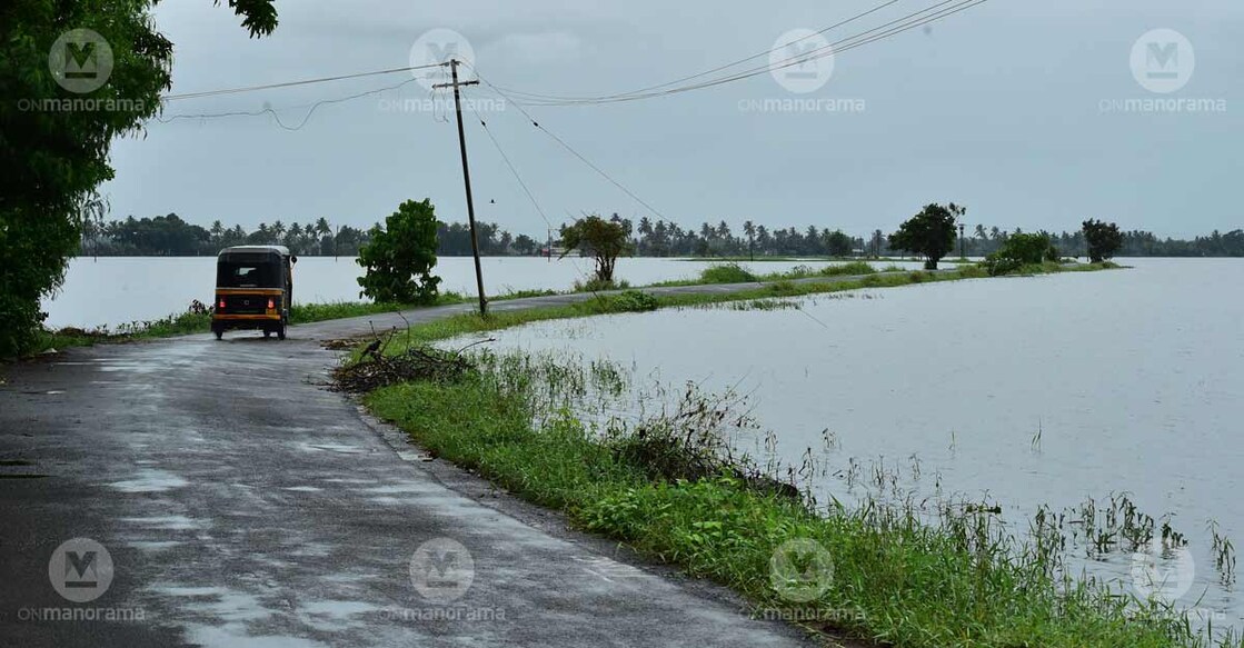 The waterlogged paddy fields on the sides of the Mulackamthuruthy-Kidangara road.
