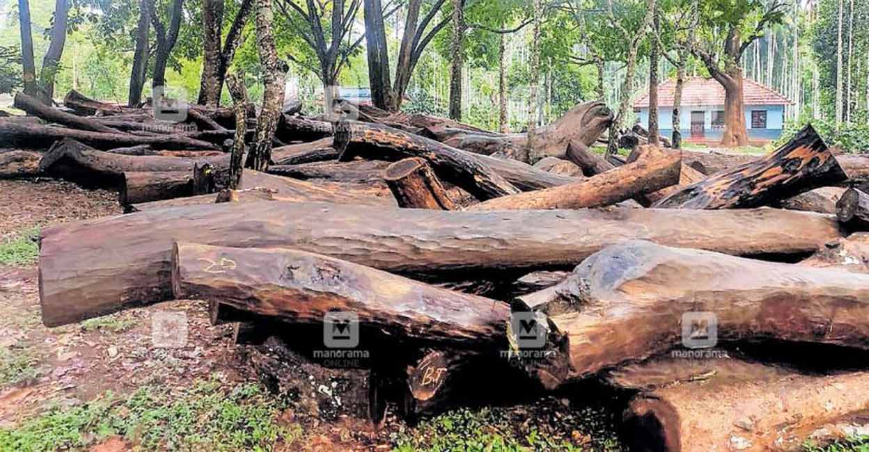 Union Min Prakash Javadekar seeks report on illegal axing of rosewood trees in Kerala Union Min Prakash Javadekar seeks report on illegal axing of rosewood trees in Kerala