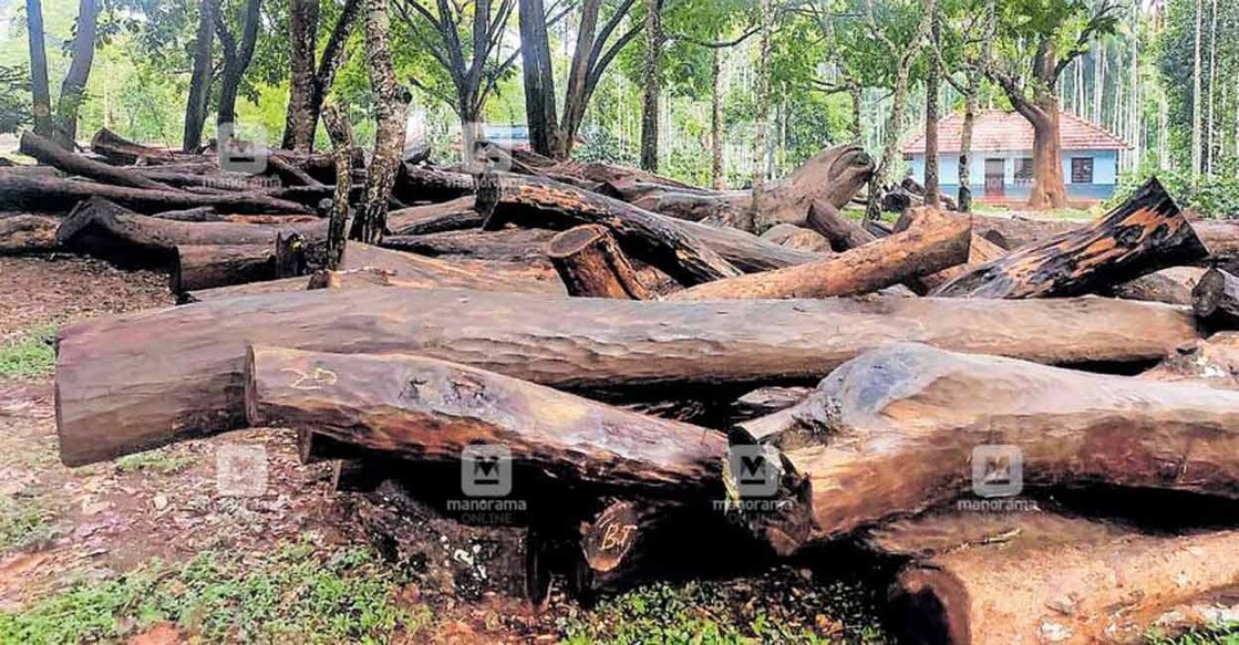 Union Min Prakash Javadekar seeks report on illegal axing of rosewood trees in Kerala