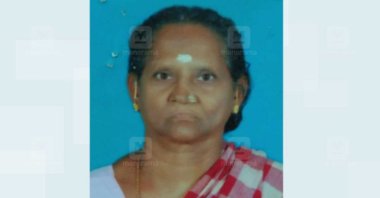sundari-pattambi