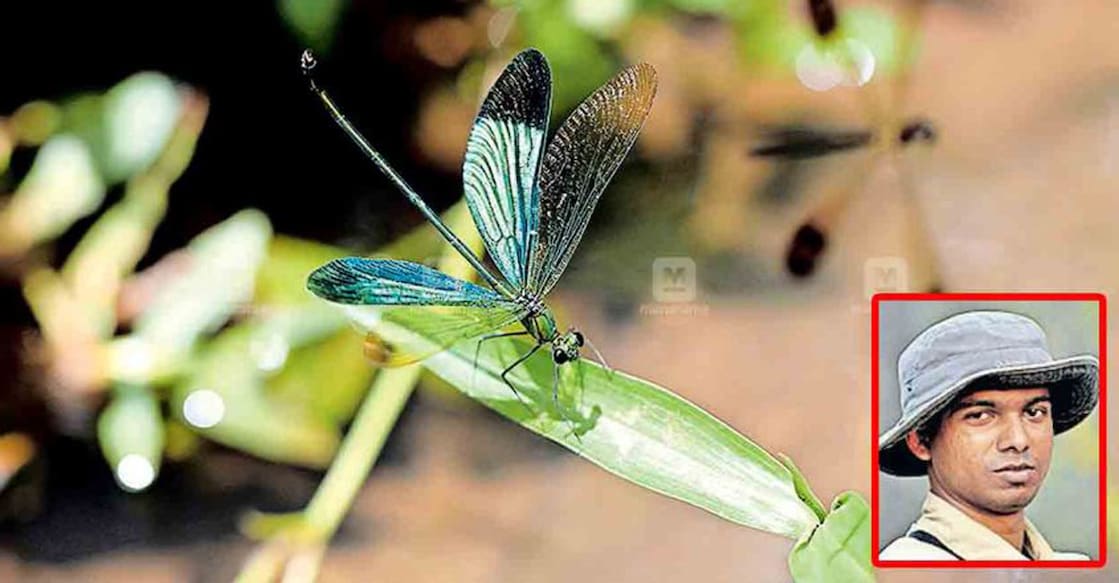 A photo used in ‘Photographic Field Guide: Wildlife of South India,’ by David Raju (inset) and Surya Ramchandran.