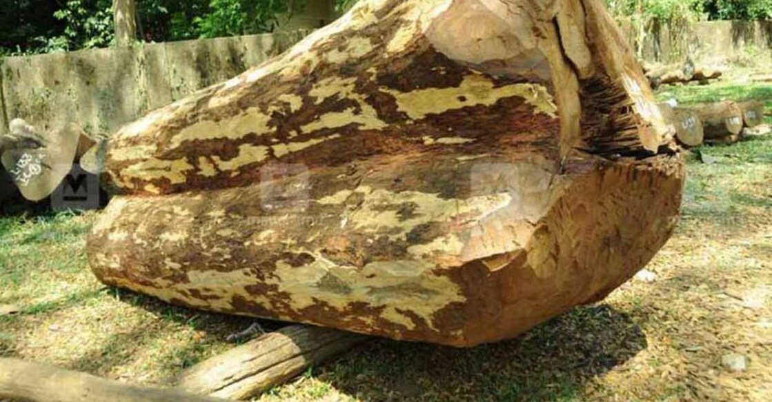 rose-wood-smuggling-muttil