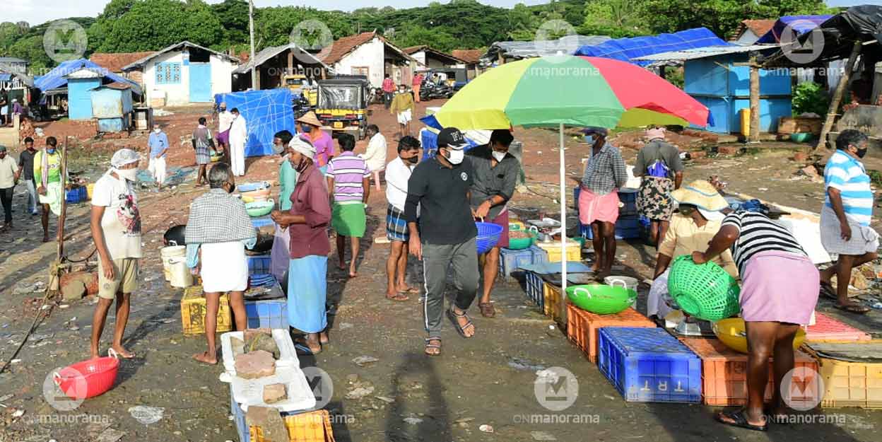 The Ayikkara Harbour which was closed for over a month due to the lockdown started operations on Sunday. Photo: Harilal S S