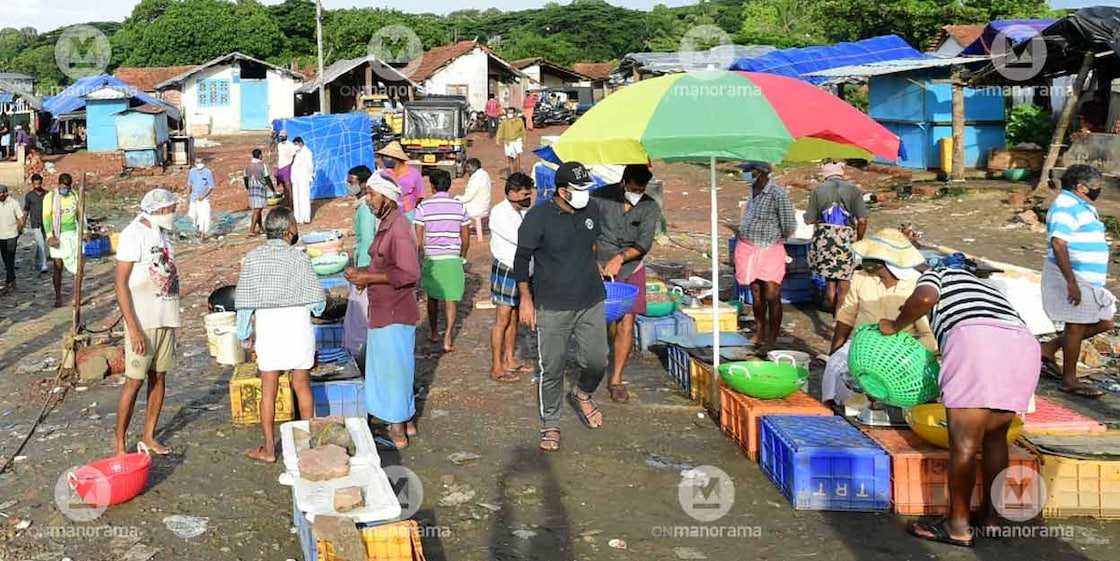 ayikkara-harbour-covid The Ayikkara Harbour which was closed for over a month due to the lockdown started operations on Sunday. Photo: Harilal S S