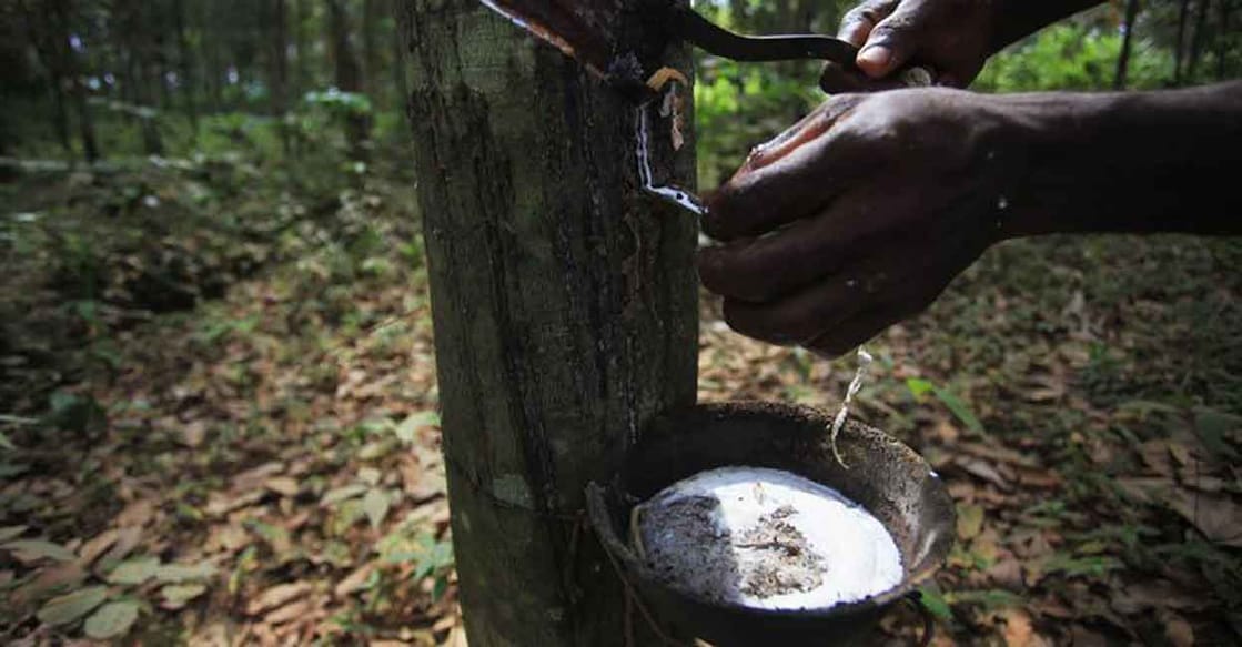 natural-rubber-kottayam