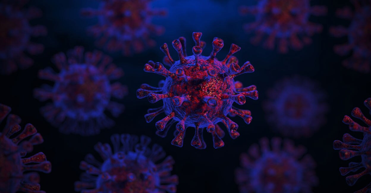 coronavirus